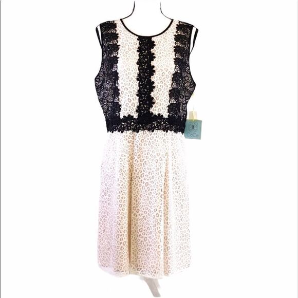 CECE Lace Overlay Dress Ivory & Black Size 10 - Picture 2 of 10